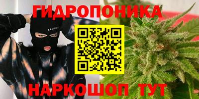 тгк Новозыбков