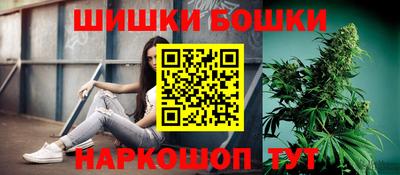 тгк Новозыбков