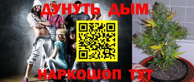не бодяженный Новокубанск