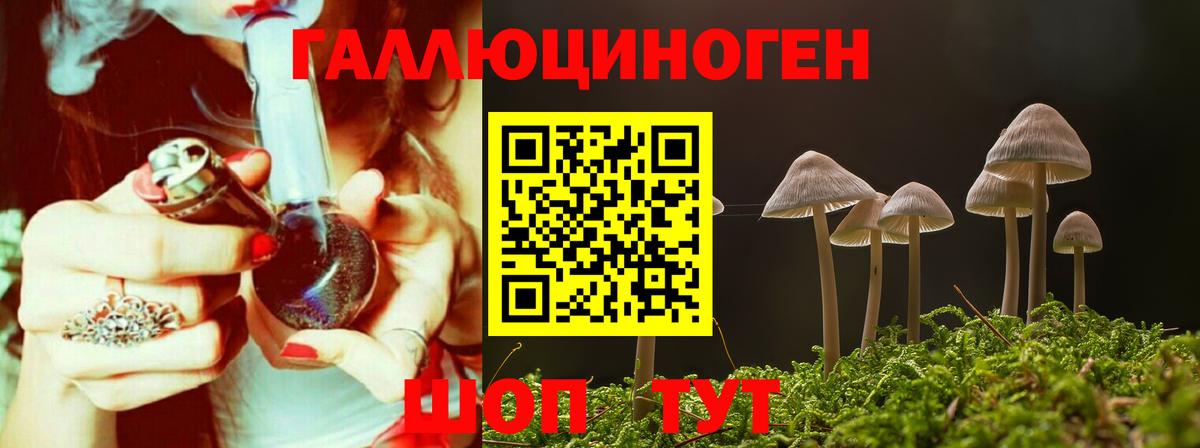 Галлюциногенные грибы Psilocybine cubensis  где купить наркоту  Саров  Вход с VPN 